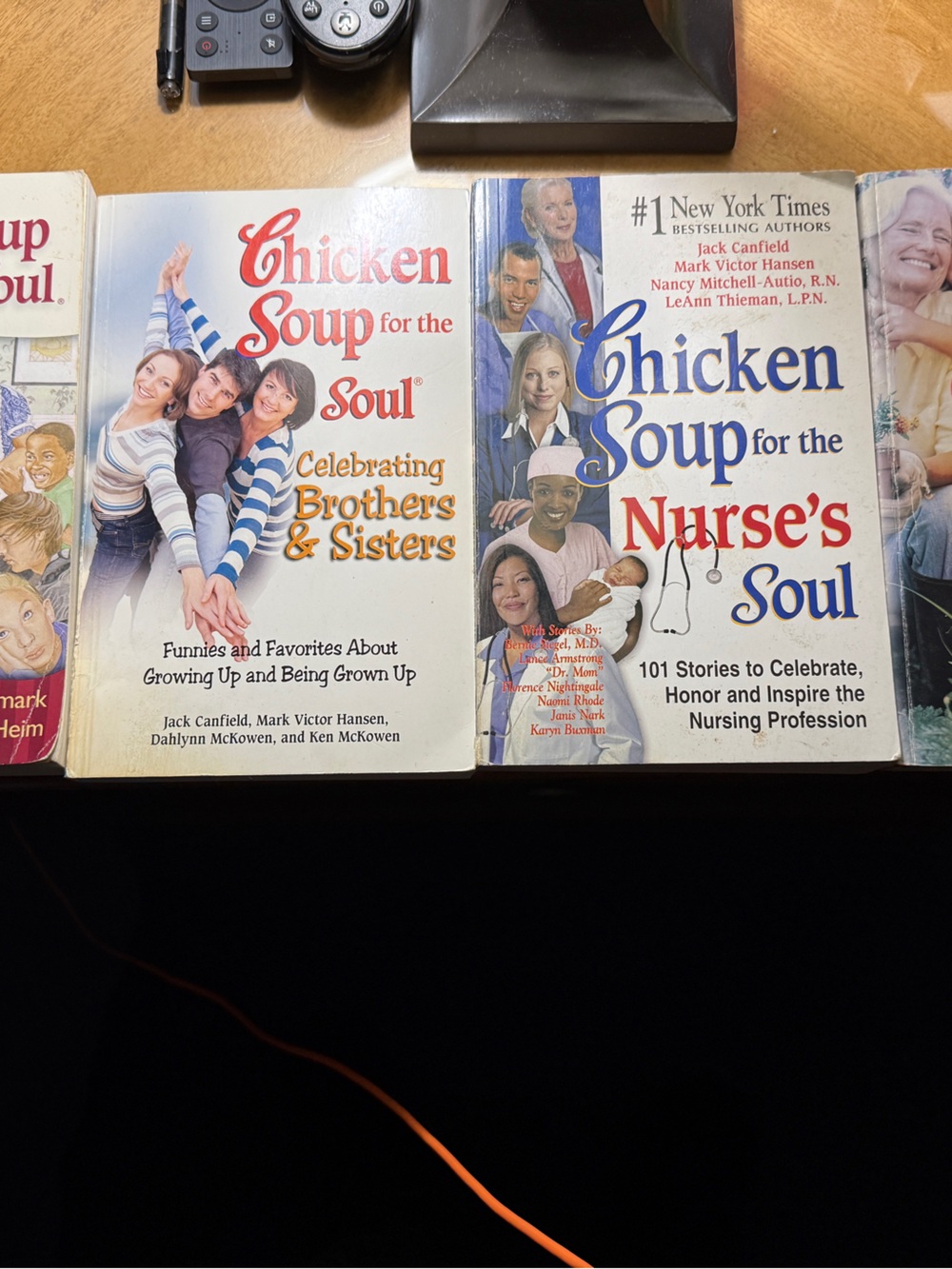 Chicken Soup for the Soul Book Lot - Assorted Covers